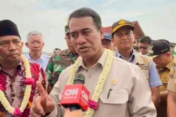 Mentan memastikan optimasi lahan rawa bukan di hutan produktif