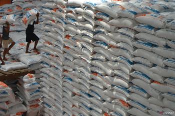 Indonesia's rice import ban lowered global prices: minister