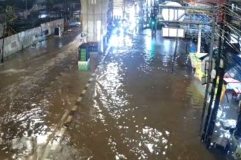 Lima RT di DKI Jakarta terendam banjir imbas hujan intensitas tinggi