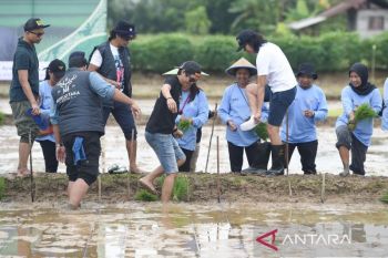 Kaltim dukung rehabilitasi 170 ribu hektar lahan kritis