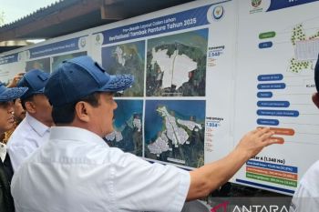 Pond revitalization to bring economic benefits: minister