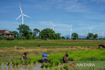 Green energy can fully power Timor, Sumbawa, Sulawesi: study