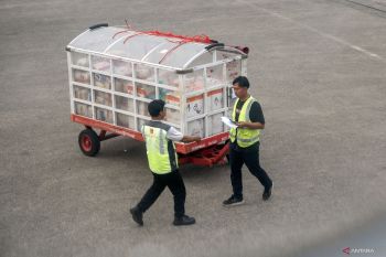Pergerakan kargo meningkat signifikan di Bandara Tjilik Riwut