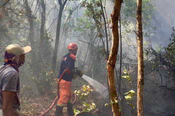 Damkar Batam tangani 189 kasus kebakaran sepanjang 2024