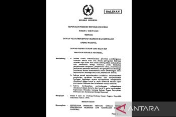 Struktur kepengurusan satgas hilirisasi dan ketahanan energi 2025
