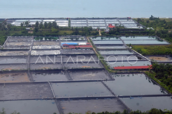 Penurunan jumlah tambak udang di Padang Pariaman