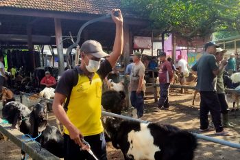 Cegah PMK, Pemkot Kediri intensif lakukan penyemprotan disinfektan di pasar hewan
