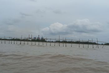 Pagar bambu sepanjang 30 Km di Tangerang diklaim untuk cegah abrasi