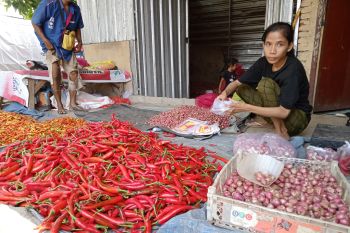 Pasar murah digelar di Mataram tekan harga cabai ke Rp60.000 per kg