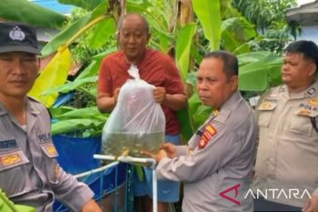 Polrestabes Palembang tebar 1.000 bibit nila