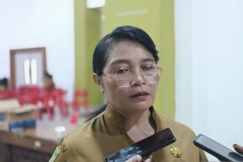 Pemkot Jayapura secara aktif menemukan kasus malaria