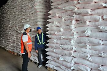 Alokasi pupuk subsidi untuk Sulsel naik 11 persen pada 2025