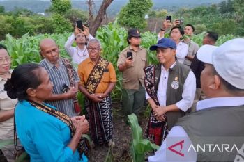 Menhut Raja Juli soroti tanaman Sorgum dikelola kelompok tani di Kupang