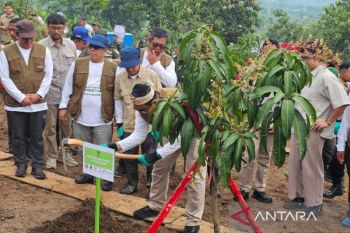 Kawasan Gunungtilu terpilih Wamenhut untuk pemulihan lahan di Majalengka