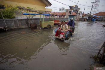 BNPB ingatkan pemda responsif atasi potensi rob