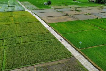 Mengawal produksi pangan dengan penuh kesungguhan