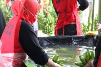 Disnaker Bandarlampung selesaikan 26 kasus hubungan industrial di 2024