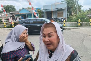 Wali Kota: Tol Semarang-Demak bakal lindungi 576 ha lahan dari banjir