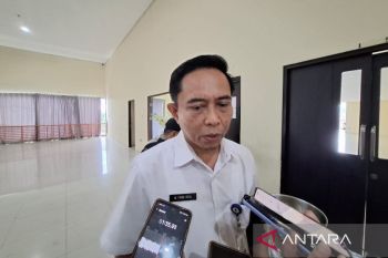 Jalan masuk menuju Stadion Batakan Balikpapan terus dipercantik