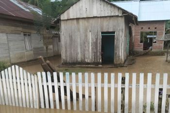 16 rumah warga terendam banjir di Desa Batusuya Donggala