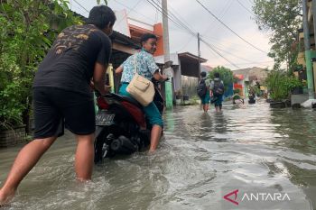 BPBD: Empat desa di Sidoarjo tergenang banjir