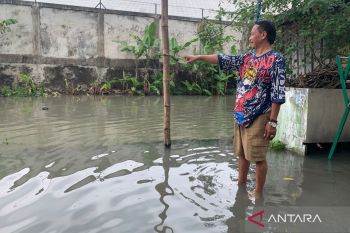 Desa Waru Sidoarjo tergenang banjir hingga setinggi 30 centimeter