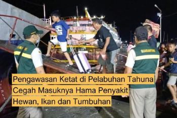 Balai Karantina perketat pengawasan di Pelabuhan Tahuna