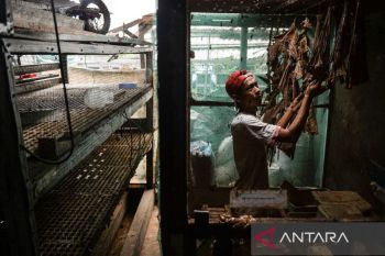 Budi daya maggot di Kota Serang