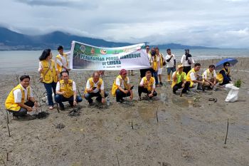 Lions Club tanam Mangrove di pesisir Pantai Layana Palu