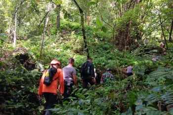Basarnas tutup pencarian lansia hilang di hutan Ternate