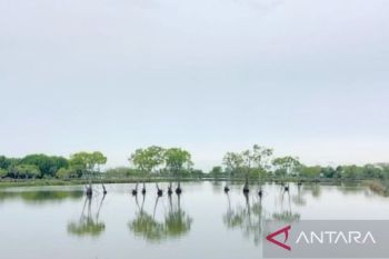 Bupati Karawang apresiasi KKP yang akan revitalisasi tambak kurang produktif