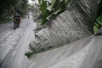 Sebaran abu vulkanik Gunung Ibu