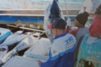 Potensi pertanian-perikanan Biak sumber menu makanan bergizi