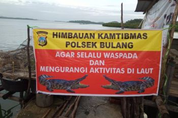 13 buaya penangkaran yang lepas berhasil dievakuasi