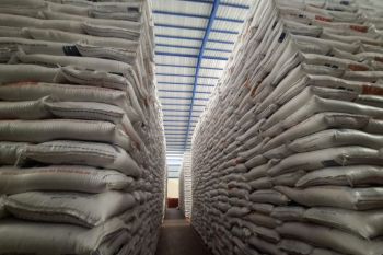 Bulog mulai serap gabah dan beras petani dengan harga baru