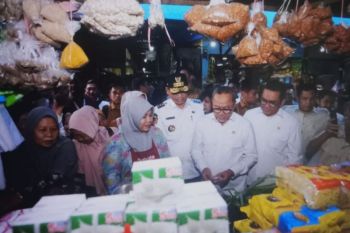 Dua menteri meninjau harga pangan di Makassar