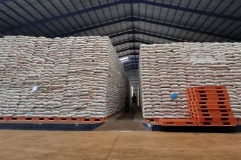 Bulog Lampung tambah gudang filial untuk optimalkan serapan beras