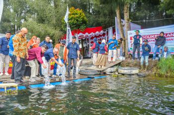 PT Semen Padang Lepaskan 1.500 Ekor Ikan Bilih ke Danau Diatas