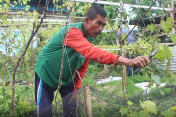 Bupati Lombok Tengah minta kades dukung swasembada pangan