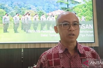 Polisi hutan tangkap dua pencuri kayu di TNBT, beralasan untuk bangun masjid