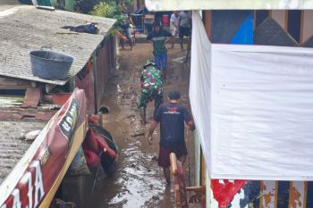 Ratusan rumah di Bandarlampung terdampak banjir