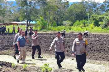 Polres Jayawijaya membantu warga buka lahan jagung seluas satu hektare