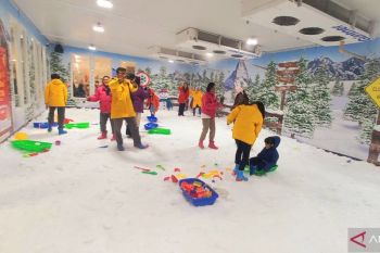 Hanya Rp30 ribu, nikmati wahana main salju Frozenland di Transmart Pangkalpinang