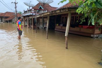 Ratusan rumah di Muba terendam banjir luapan Sungai Sake