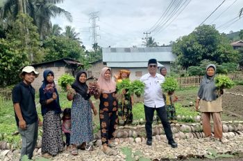 Nagari Panti Selatan manfaatkan lahan non produktif jadi pangan lestari