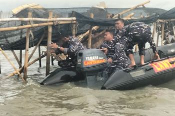 Perintah Prabowo, TNI AL bongkar pagar laut ilegal sejauh 30,16 km di Tanggerang