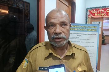 Dinas Pertanian Kota Jayapura siapkan bibit padi kelompok tani