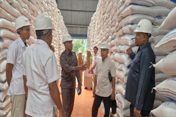 Distan Kulon Progo imbau petani tunda jual gabah di bawah HPP
