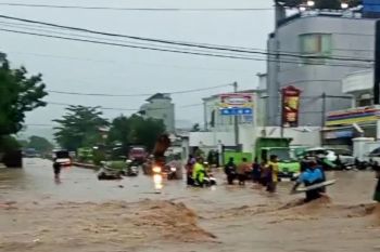 BPBD Lampung: Sebanyak 11.223 orang terdampak banjir di Bandarlampung