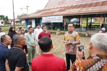 Pj Bupati Banyuasin konsen tata pusat kuliner